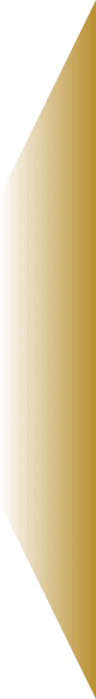 agent侧边图